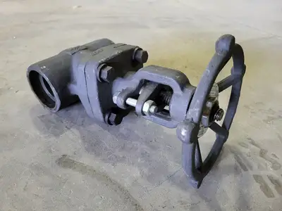 2" Class 800 Gate Valve B16.34
