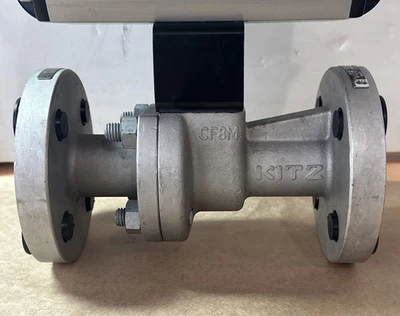 NEW Flowserve B085S10