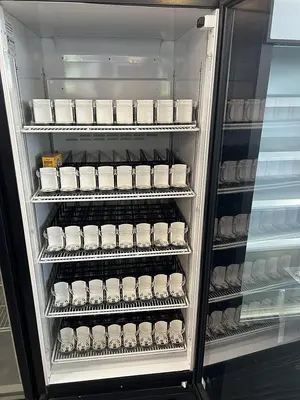 Used ROYAL COOLERS RVCF-027-32 Display Refrigerators Florida US | BAM Discount Restaurant Equipment #1257192
