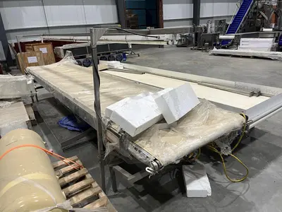19ft Inspection Conveyor