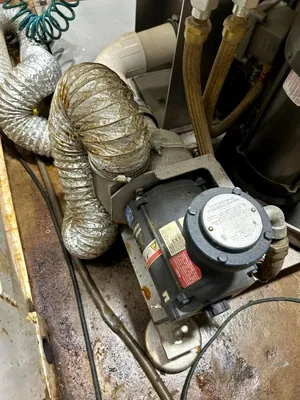Used _UNKNOWN_ _UNKNOWN_ Basket Top Unload Centrifuges Florida US | Sanders Equipment #1324356