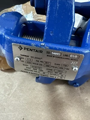 NEW Pentair 5617 SA182 F22