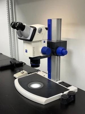 Used ZEISS 435000 Microscopes Missouri US | BioLabTek #1464018