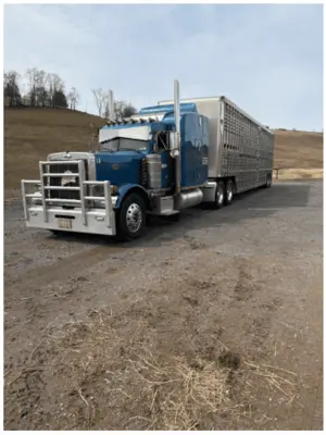 Used PETERBILT 379 Conventional trucks Pennsylvania US | Trustworthy Equipment #1403455