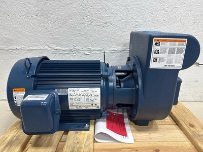 Pentair DHJ3-170 Centrifugal Pumps | Fram Fram LLC (4)
