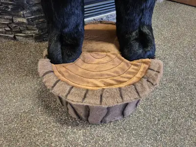 6'-3" Black Bear Display