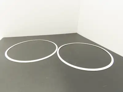 Cascades 10" Pump Casing Gasket 11" OD x 10-1/8" ID Lot of 2
