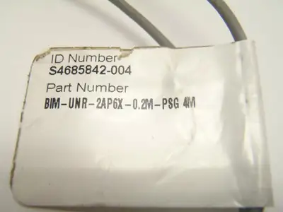BIM-UNR-2AP6X-0.2M-PSG 4M | Turck  Inductive Magnetic Cylinder Sensor S4685842-004 - Used