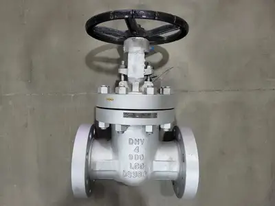 4" Class 900 Gate Valve B16.34