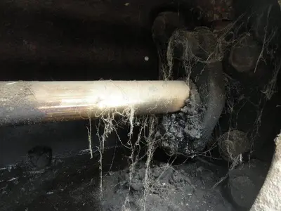 USED WHEATLEY 2170