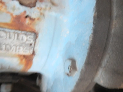 USED GOULDS 3196MTX