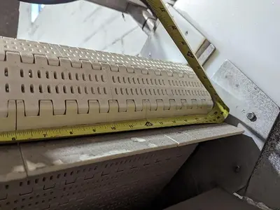 Incline Conveyor with Dump Station