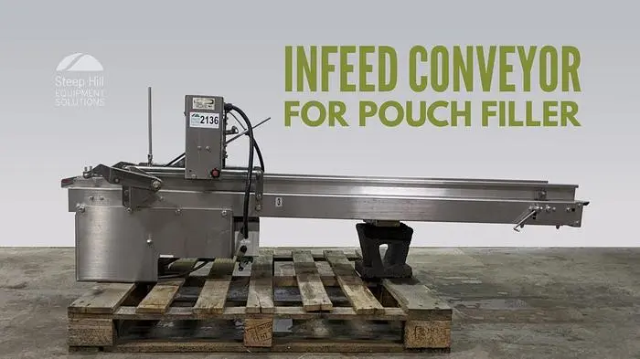 Infeed Conveyor for Pouch Filler