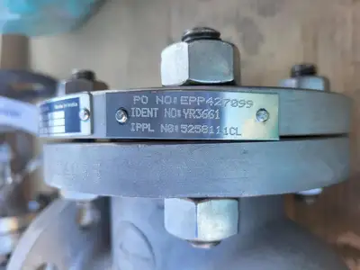 2" Class 300 Globe Valve API 594