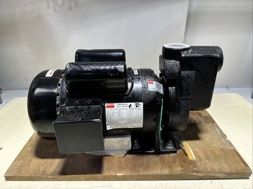NEW Dayton 2ZXP5