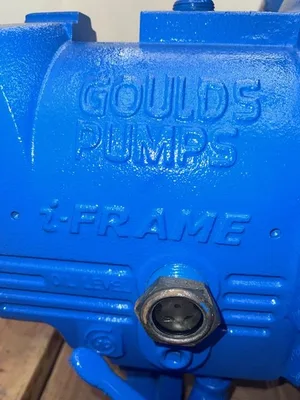 USED Goulds 3196MTi