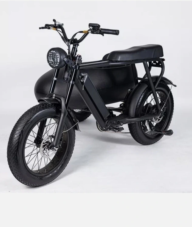 New | in-Stock Ebike PlayeBike 750w 6 Speed Shimano Electric Tricycle Ebike Bicycle With Side Car Motorcycles (Misc) California US | DanvasLLC #1303687