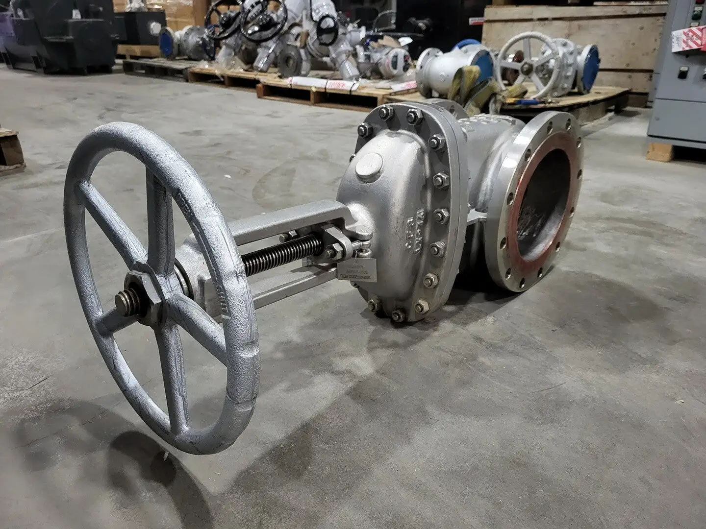 10" Class 150 Gate Valve B16.34