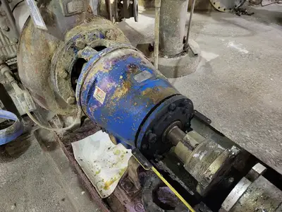 USED GOULDS 3175M