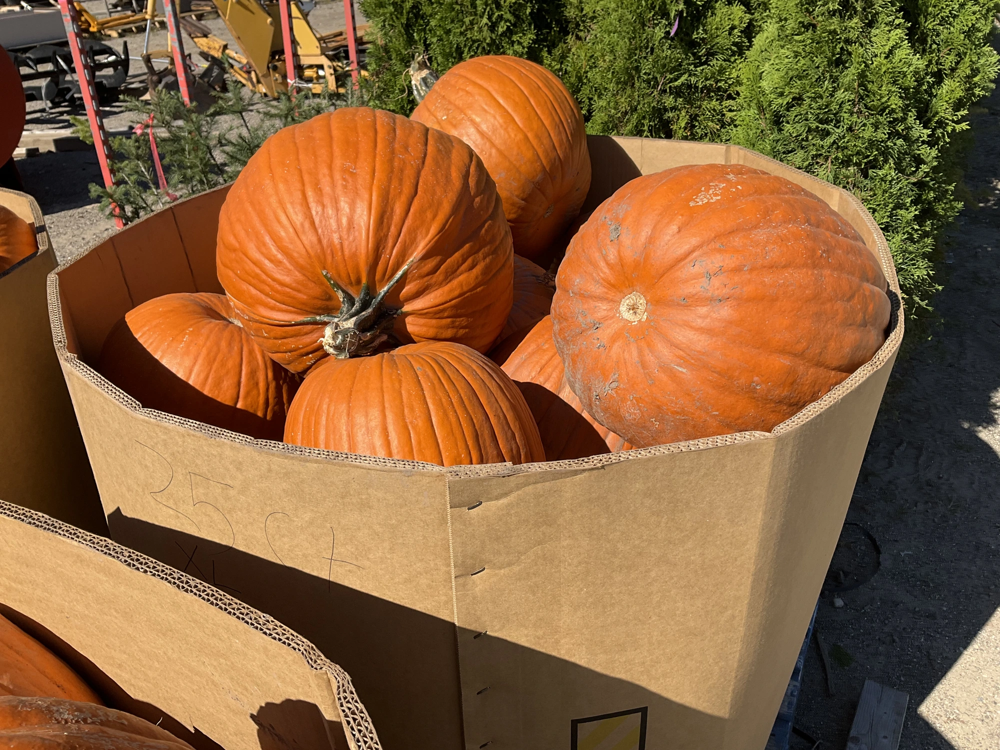 Used _UNKNOWN_ _UNKNOWN_ Farm Supplies Michigan US | Miedema Asset Management Group #1483473