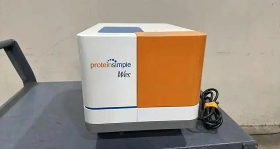 Used PROTEINSIMPLE WES Electrophoresis New Jersey US | Bionex Scientific LLC #800700