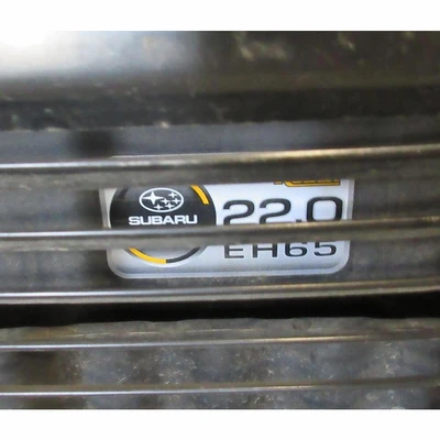 USED MILLER TRAILBLAZER 302