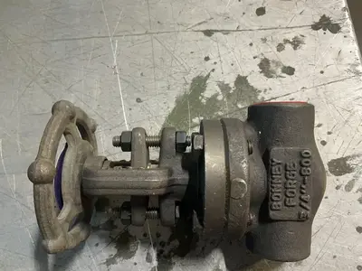Used BONNEY FORGE HL 11LE Pumps Ohio US | HGR 24 #1314723
