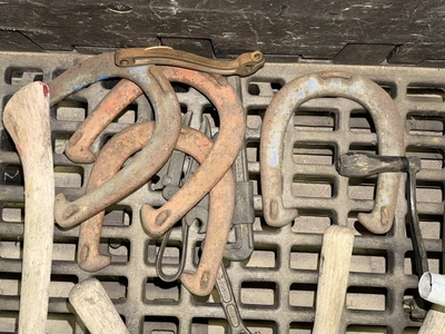 Used _UNKNOWN_ _UNKNOWN_ Miscellaneous Agriculture (Farm) Equipment Michigan US | Miedema Asset Management Group #1442091