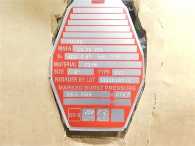 BS&B Safety Systems 6" 10000484-1 Rupture Disc 69.3 PSIG @ 674°F 114196 New