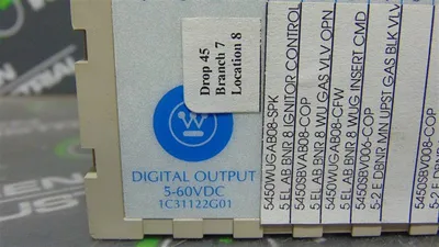Westinghouse Emerson 1C31122G01 Ovation Digital Output Module Used