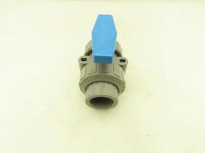 Plast-o-matic MBV100EPS-CP True Blue 1" NPT Socket True Union Ball Valve EPDM