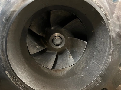 USED Goulds 3175