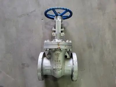 6" Class 300 Gate Valve B16.34