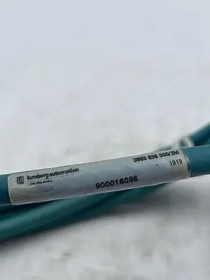 USED LUMBERGAUTOMATION LUMBERGAUTOMATION 900016096