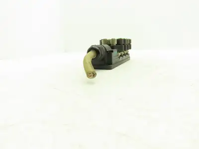 Murr Elektronik MVP12 Junction Box M12 Plug Connection With 7000-41131 Splitters