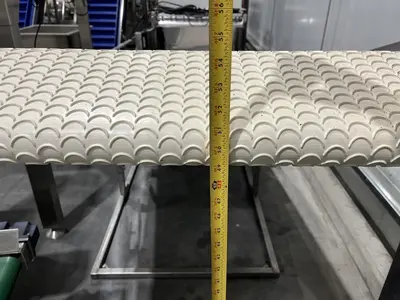 Scalloped Belt Incline Conveyor with Hopper