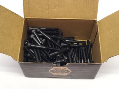New | in-Stock Brighton 68053164 Nuts & Screws Michigan US | Maverick Industrial Sales #1483214