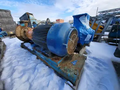USED GOULDS 3196