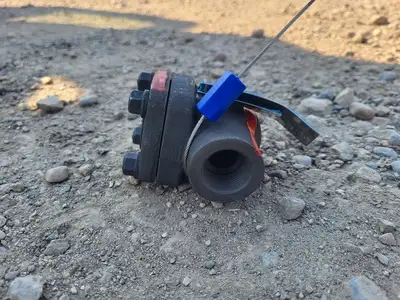 2019 3/4" Class 800 Check Valve API 602
