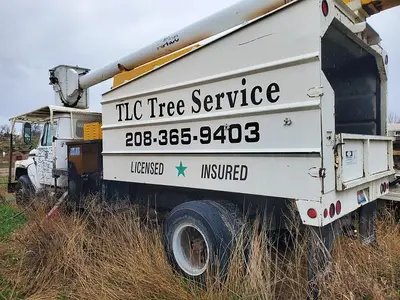 USED 1983 INTERNATIONAL 1954