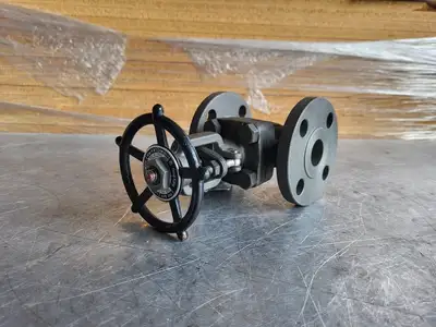 1" Class 150 Gate Valve B16.34