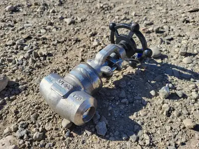 3/4" Class 800 Globe Valve API 602