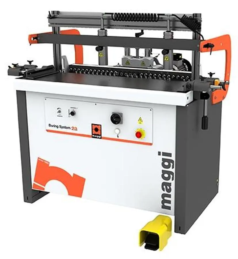 NEW MAGGI SYSTEM 29