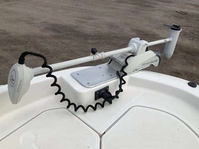 Used 2017 BAYLINER ELEMENT Boats (Misc) Michigan US | Miedema Asset Management Group #1322404