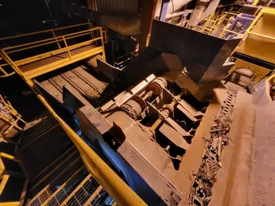 Infeed Log Conveyor for Chipper