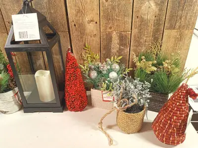 Lot of Christmas & Fall Decor