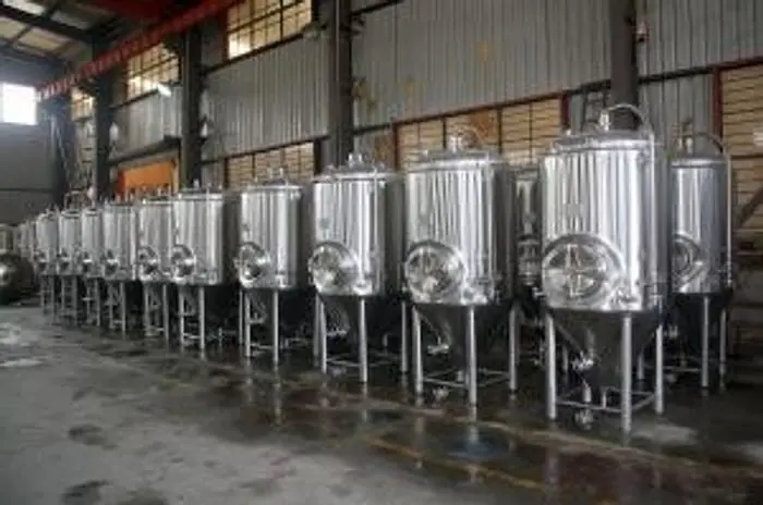 NEW STOCK BSV 7 BBL FERMENTER
