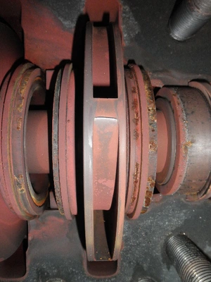 USED SULZER BINGHAM 3X6X9 MSD-B