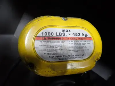 Cm  1000 Lbs Hoist
