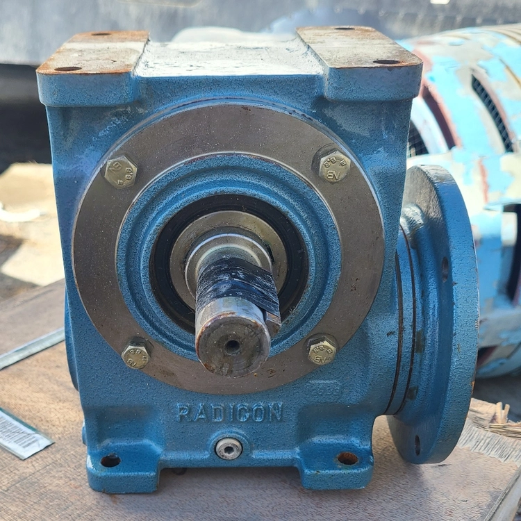 Used RADICON - DAVID BROWN AA610-50/1 Speed Reducers British Columbia CA | Savona Equipment LTD #1167388